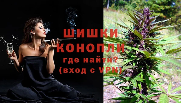 шишки Верхний Тагил