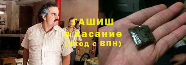 шишки Верхний Тагил