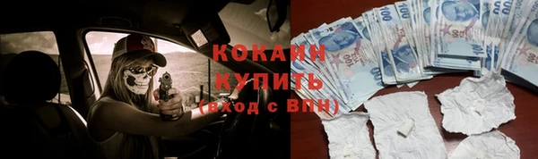 шишки Верхний Тагил
