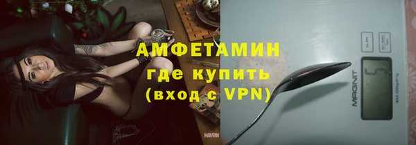 шишки Верхний Тагил