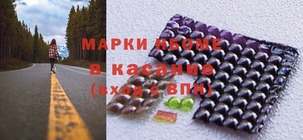 шишки Верхний Тагил