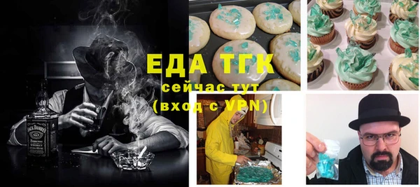 шишки Верхний Тагил