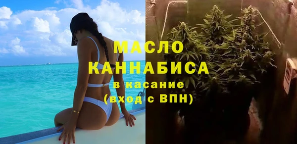 шишки Верхний Тагил