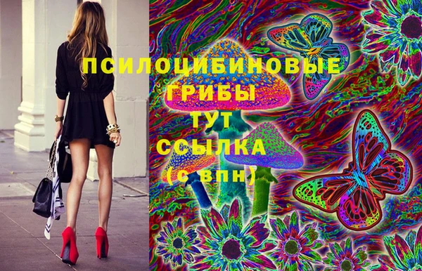 таблы Верея