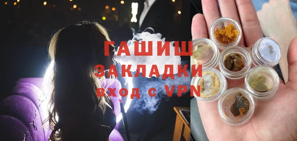 шишки Верхний Тагил