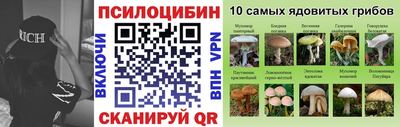 Галлюциногенные грибы ЛСД  сколько стоит  Чекалин 